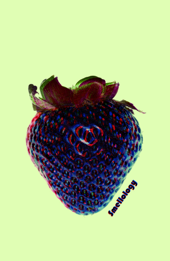 Fraise
