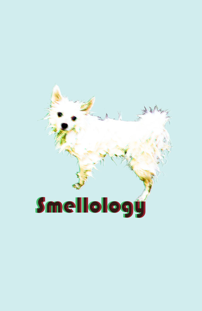 Chien mouillé